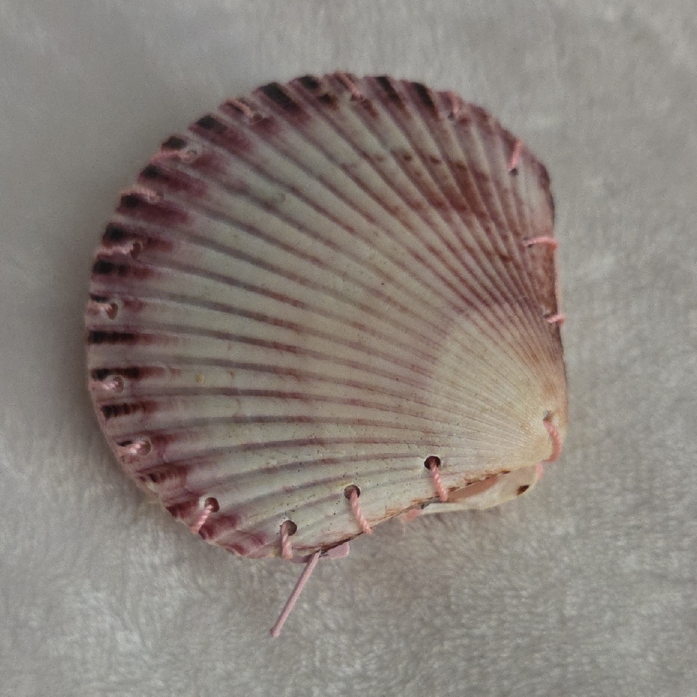 Handmade Pink Seashell Change Purse